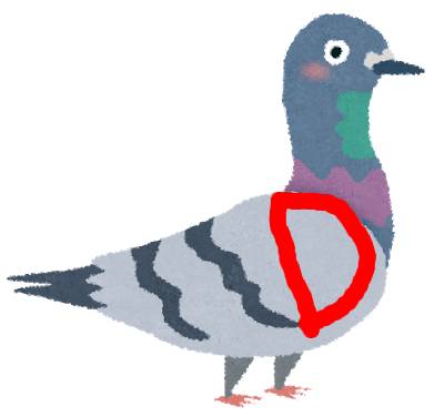 アルファベットDが描かれた鳩